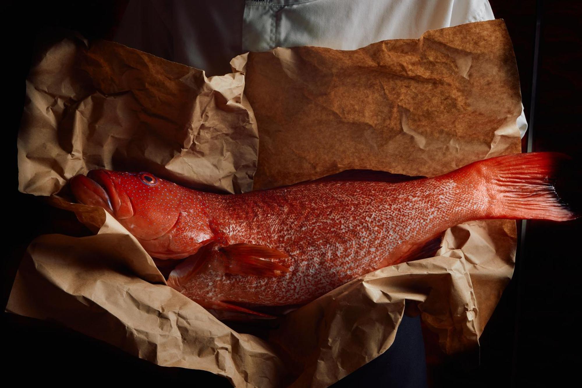 Park Hyatt Melbourne Hotell Exteriör bild A smoked turbot